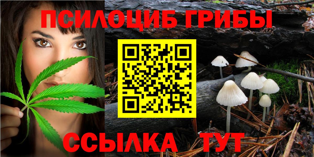 Галлюциногенные грибы Psilocybe  Псилоцибиновые грибы прущие грибы  Реутов  Вход с VPN 
